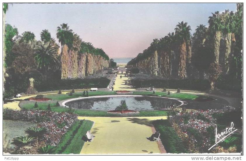 ALGERIE (ALGERIA) ** Jolie CPSM (1956) dentelée PF n° 178 ** ALGER Jardin d'essai - Bon état