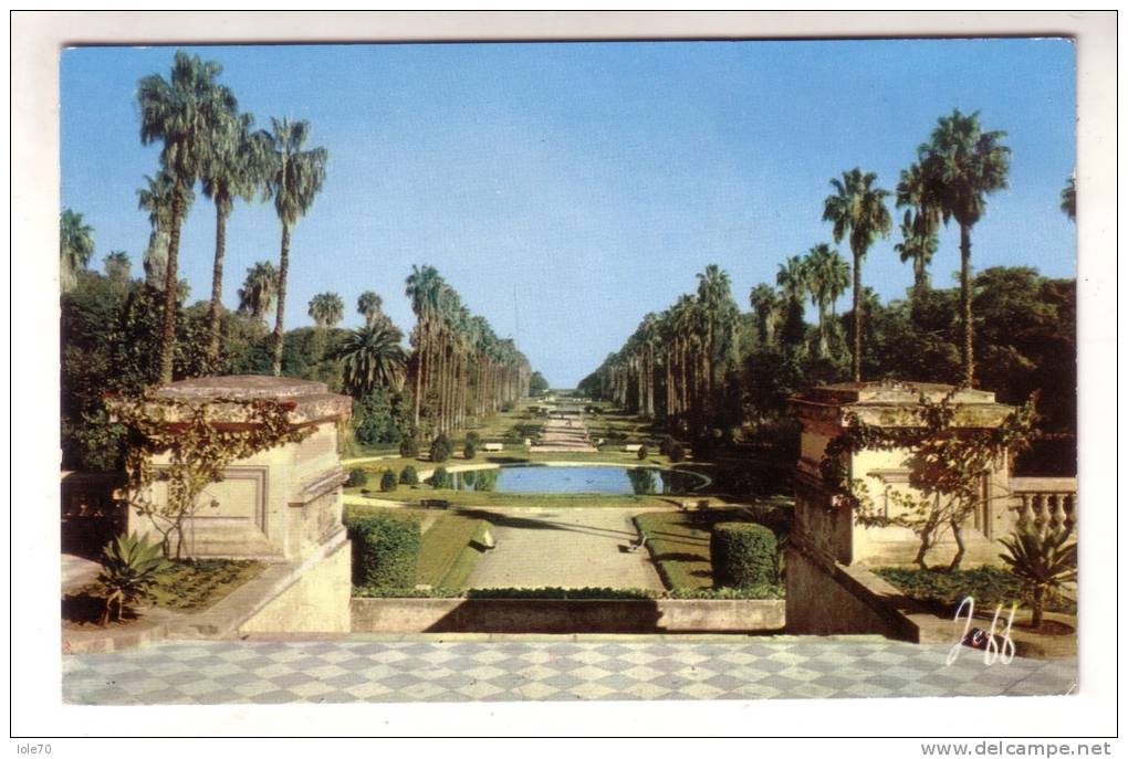 20SC41) ALGER - LE JARDIN A´ESSAI - FORMATO PICCOLO