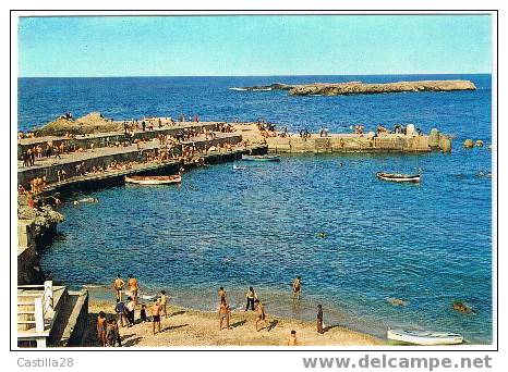 cpm ALGER les plages - pointe pescade