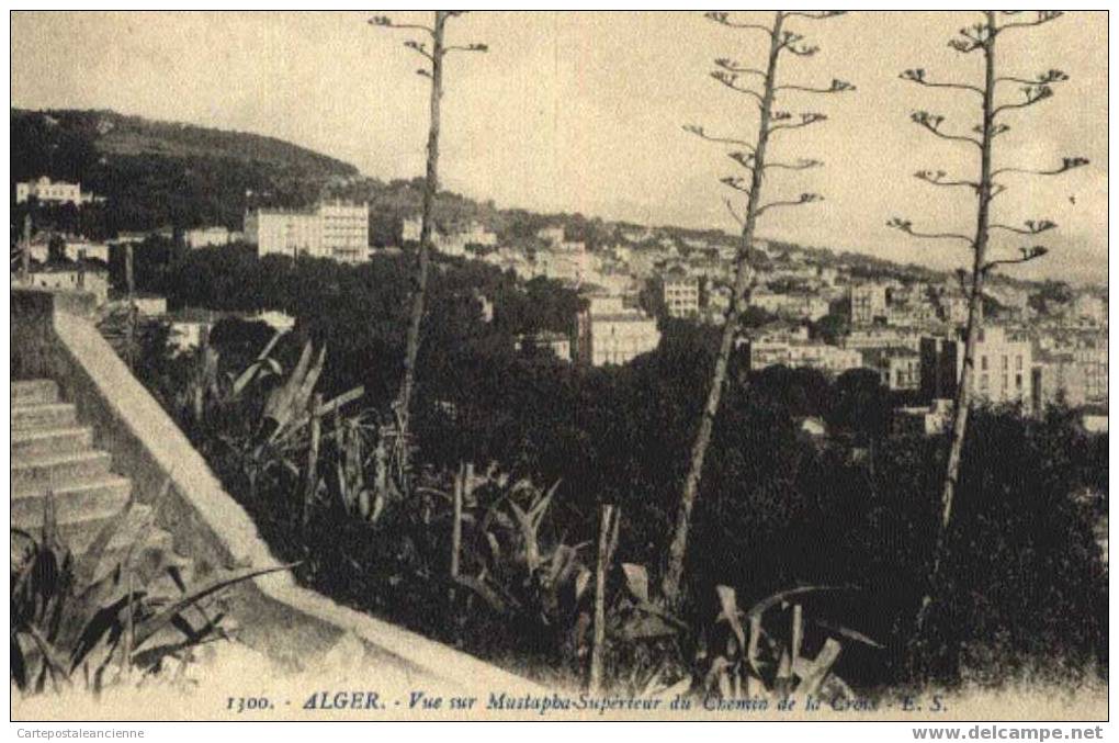 ALGER 1920s QUARTIER MUSTAPHA SUPERIEUR CHEMIN CROIX aloes ¤ ES 1300¤  ALGERIE ALGERIA ALGERIEN ARGELIA ALGERIJE ¤A3212