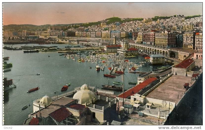 ALGERIE - CPA (ou CPSM ?)    ALGER - VUE GENERALE SUR LE PORT