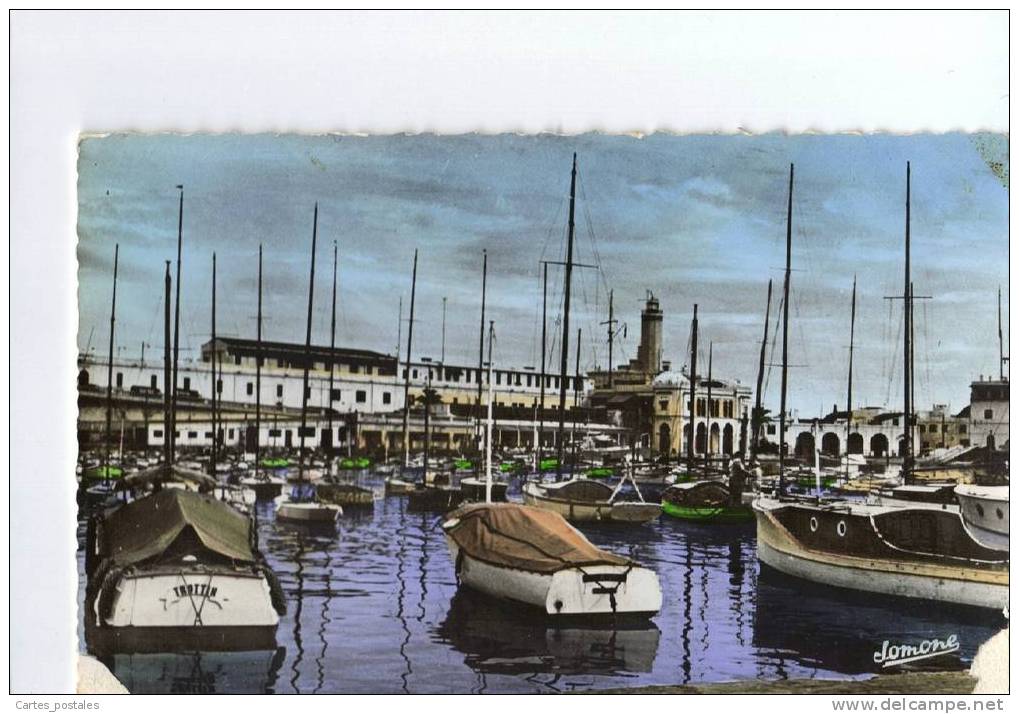 ALGER  -  EL DJEZAÏR  -  la darse et l´amirauté