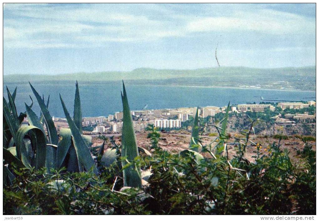 alger 1965 el-djezair vue générale