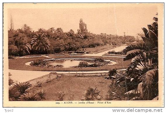 ALGER - Jardin d'Essai - Pièce d'Eau  BE