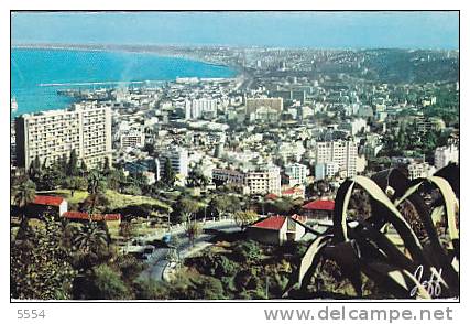 cpsm algerie   alger   vue panoramique