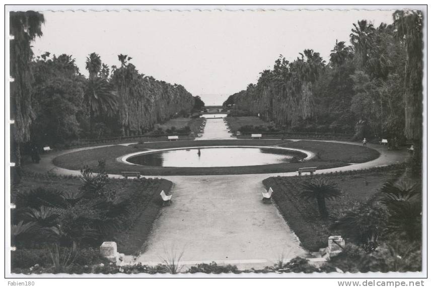 ALGER - Jardin d'Essai