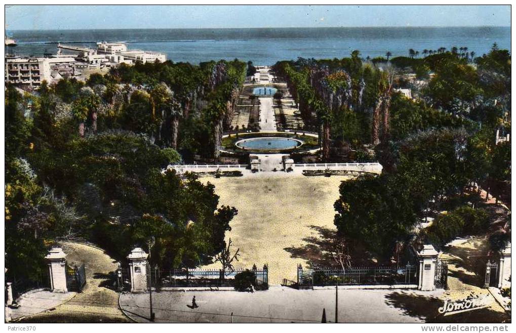 ALGERIE ALGER - El Djezaïr Vue d'ensemble du jardin d'Essai