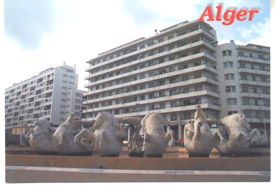 ALGER - Statut de chevaux
