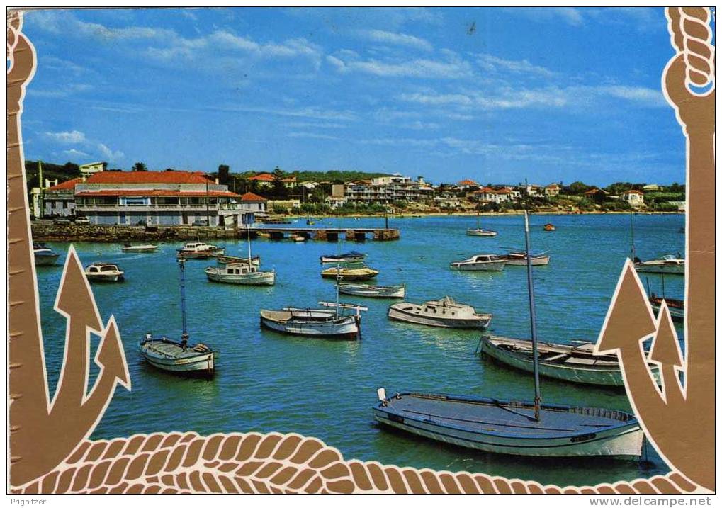 ALGERIE / ALGERIEN   Les plages D Alger  -  Tementfous