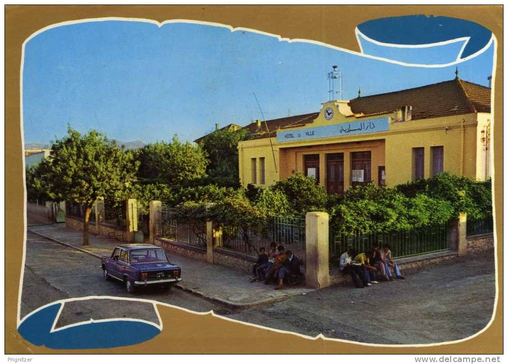 ALGERIE / ALGERIEN    Tamzalt  Rue du Commandant Mira