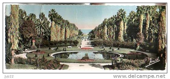 CP Panoramique Algérie Alger Jardin d´Essai - Ed Jansol 8 - dimensions  22 x 9 environ