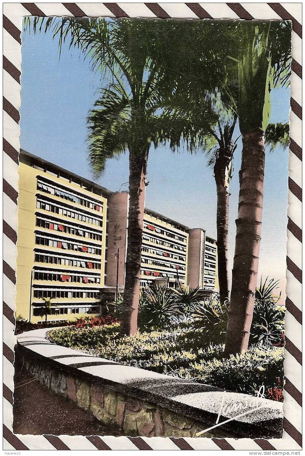 R344 ALGER LE GOUVERNEMENT GENERAL