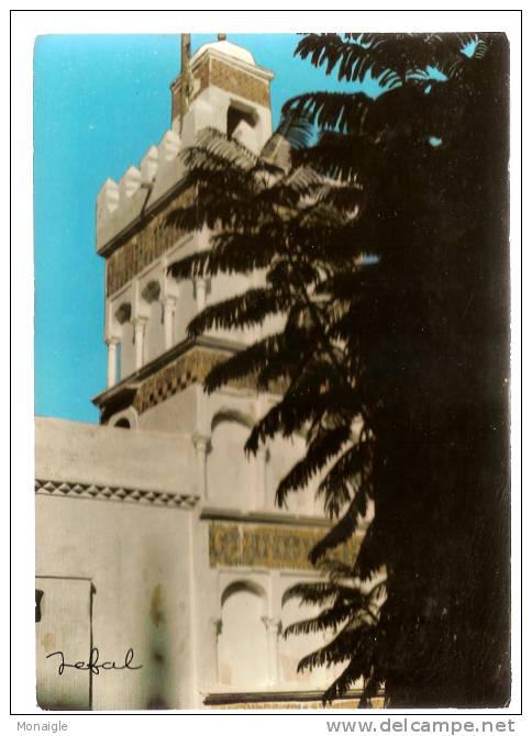 arte postale NEUVE CP ALGERIE  ALGER  SIDI ABDERAHMANE / JEFAL