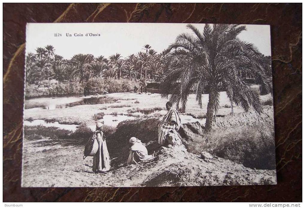 CPA--GG--  ALGERIE - un coin d oasis  (provenance d un carnet)