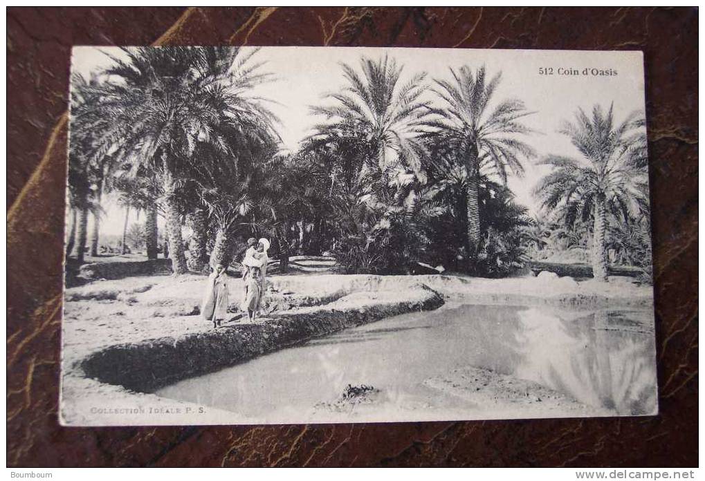CPA--GG--  ALGERIE -  coin d oasis  (provenance d un carnet)