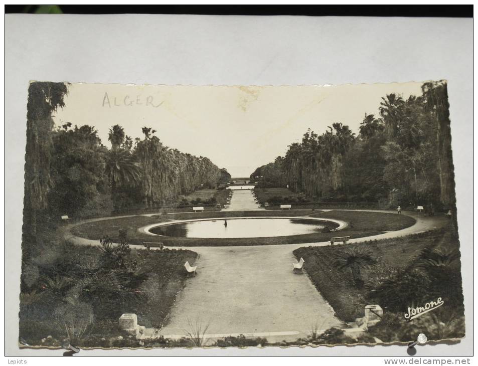 Algérie - Alger - Jardin d' Essai