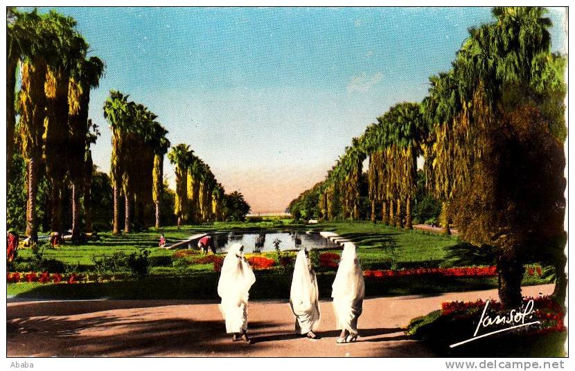 ALGER AU JARDIN D ESSAI