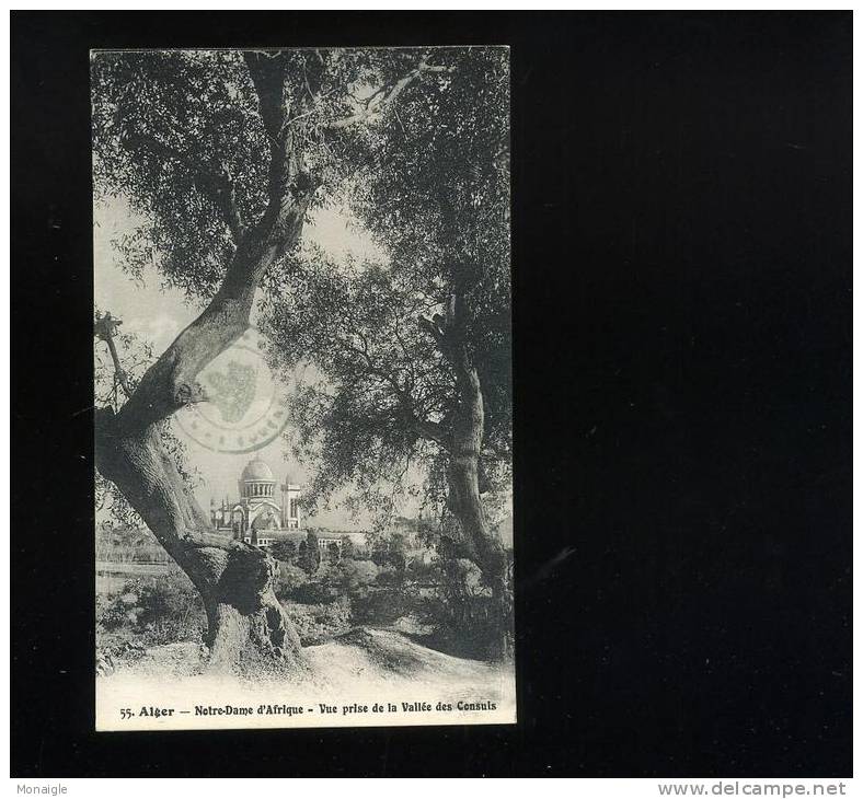 ALGERIE - ALGER -  Notre Dame d'Afrique - vue prise de la vallée des Consuls