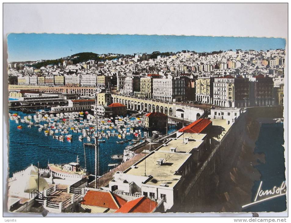 Algérie - Alger - Vue générale - Scan recto-verso