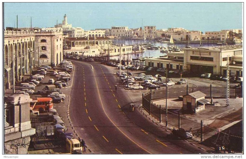 CPM Algérie - Alger - Le vieux port de pêche