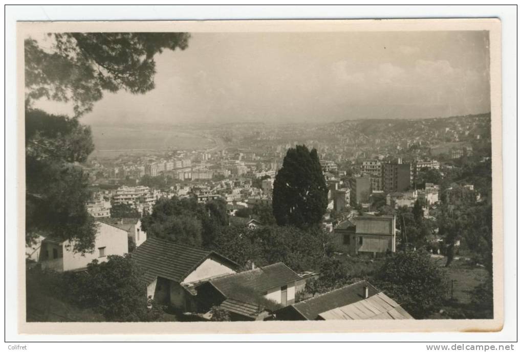 Alger            Vue générale N° 4