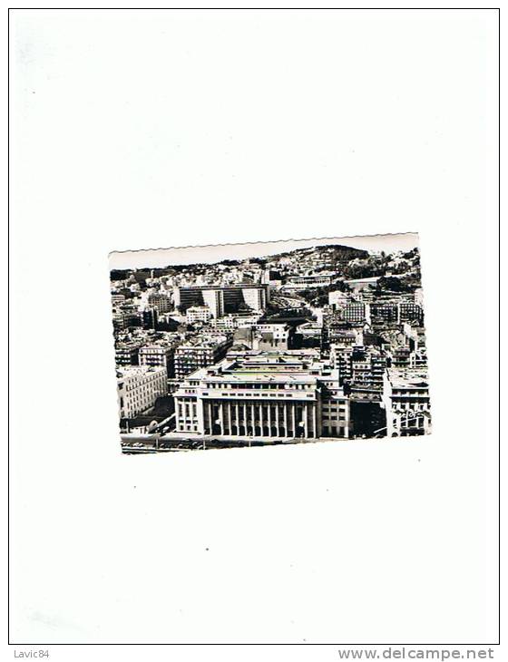 Alger, la Blanche, la nouvelle mairie et le gouvernement général
