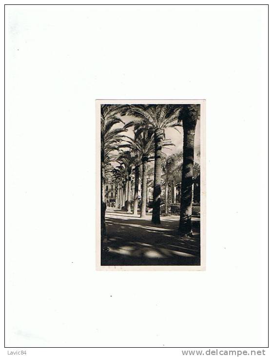 Maison Carrée (Alger) square altairac