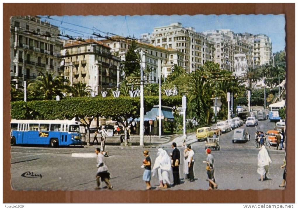 ALGERIE CPSM ALGER BOULEVARD LAFERRIERE