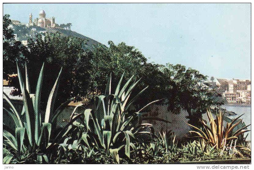 Algerie, Alger, Poésie d´Alger, circulé oui 1957