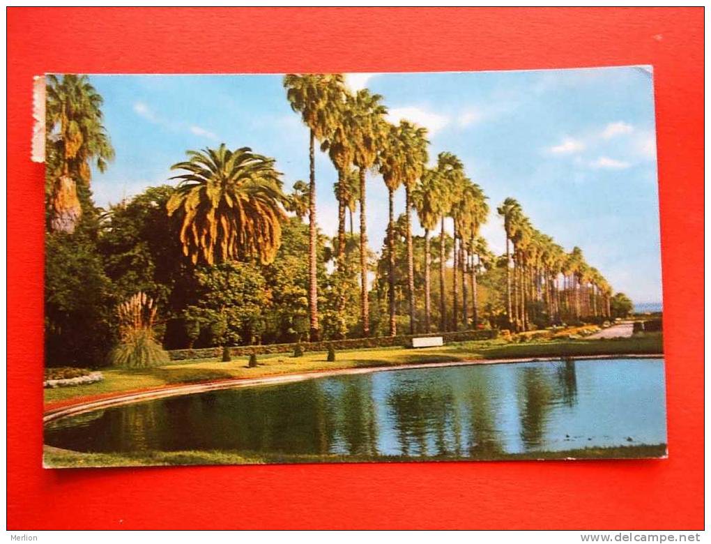 Alger, Algiers ,  cca 1965   VF/XF  D7424