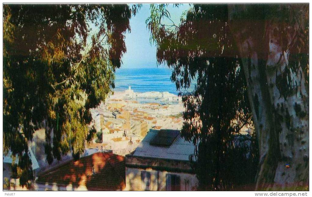 CPSM (format cpa)  El Djezair Vue générale sur le port de Plaisance    B510