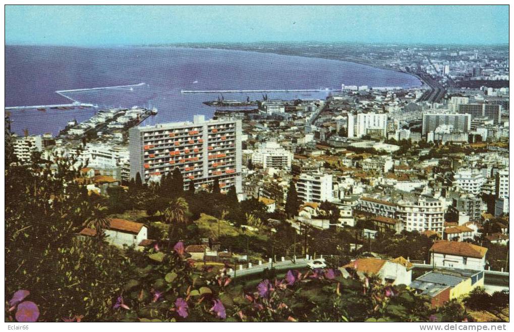 ALGER      Vue Générale     Cp SM  Edit Combier   Cim