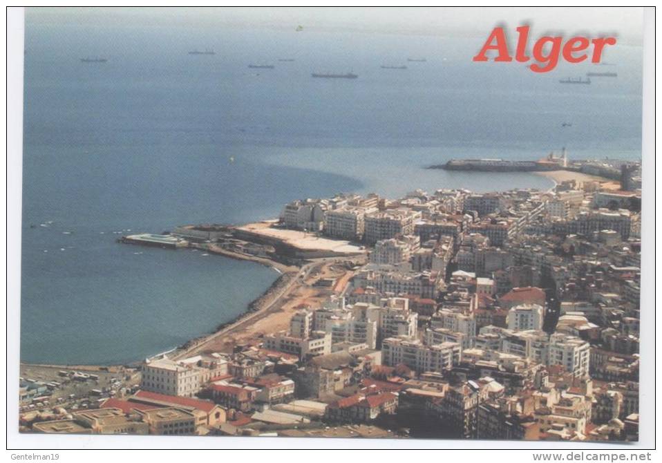 Carte postale Alger Vue Sur Mer