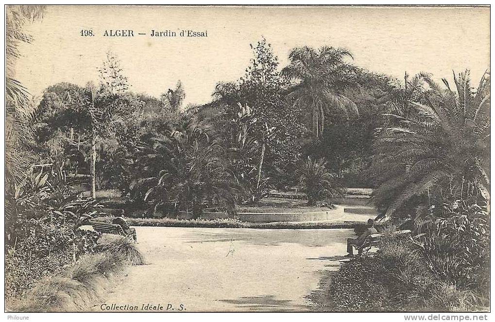 Algérie - Alger, le jardin d´Essai