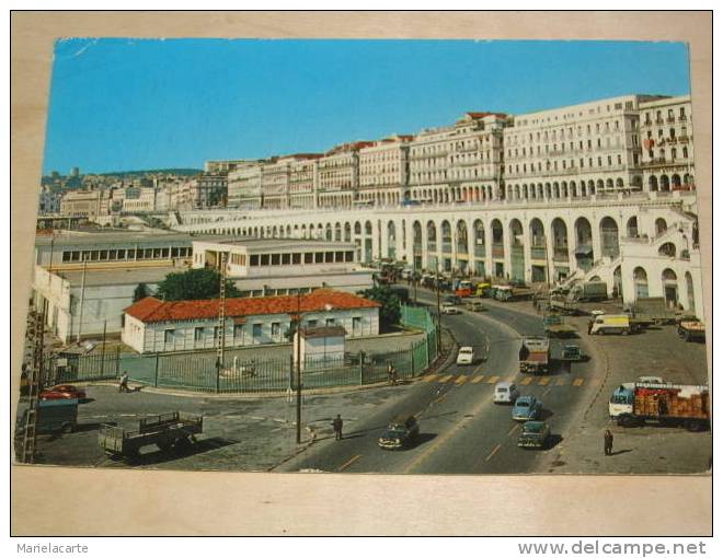 lot 501 * algérie alger la blanche GROS GROS PLIS  mise pour faire plaisir