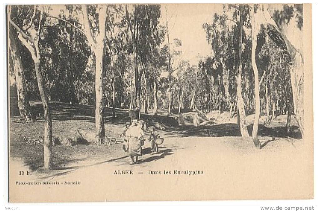 CPA - ALGER - DANS LES EUCALYPTUS - Editions BAUDOUIN / N°33 B