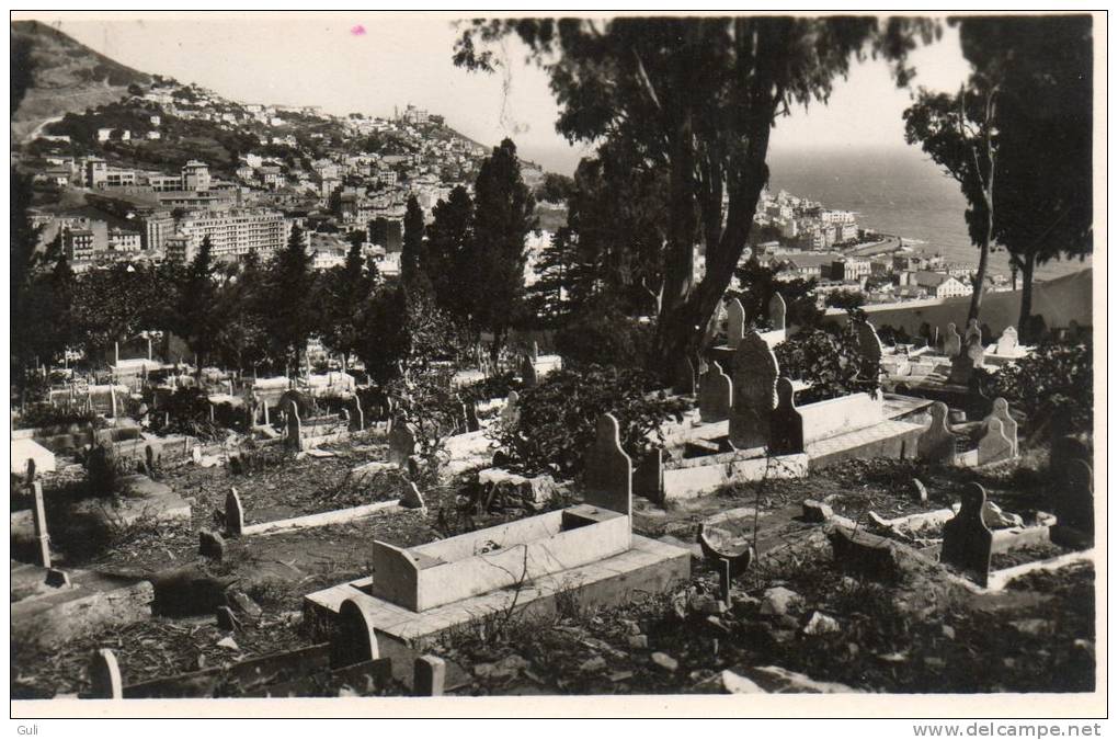 Afrique > Algérie - ALGER  - Cimetière d´El Kettar et Notre Dame d´Afrique* PRIX FIXE