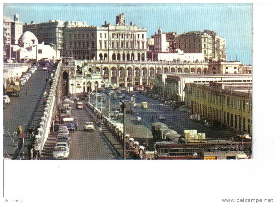 Alger -Le front de mer - gel.