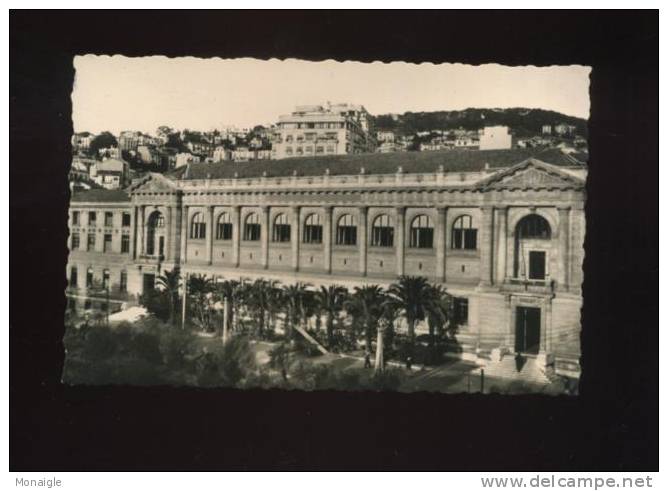 CPSM CARTE PHOTO  ALGERIE ALGER L UNIVERSITE