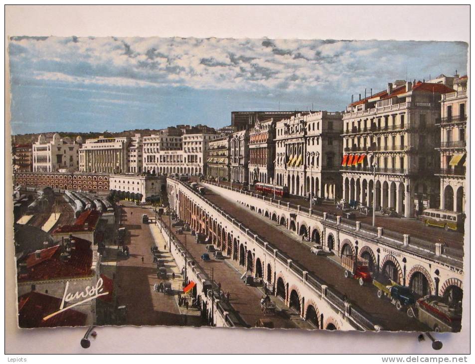 Algérie - Alger - Les Rampes - Scan recto-verso