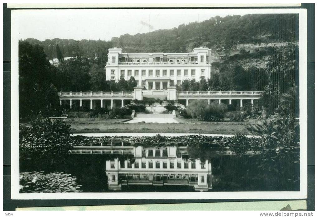 Alger - jardin d'essai du musée national   ui269