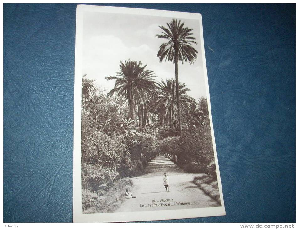 Alger - le Jardin d'Essai - Palmiers - Enfants - LL 180 - L113A