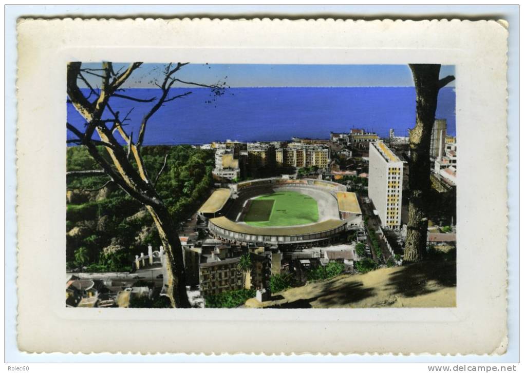 Algérie. CPSM. ALGER.  Stade Municipal et groupe H.L.M. Duboucher.