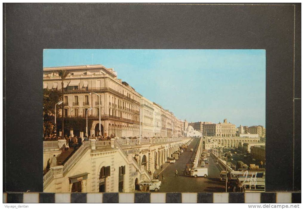 ALGER    VERS LA PLACE DES MARTYRS