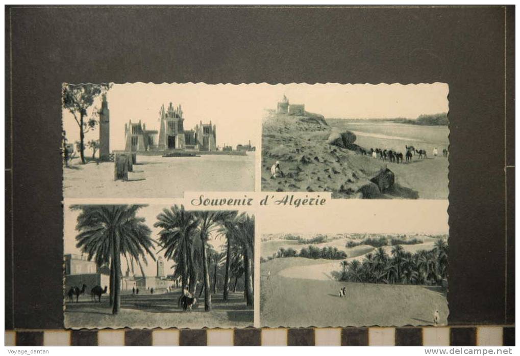 SOUVENIR D'ALGERIE DEPARTEMENT DE CONSTANTINE OUARGLA MUSEE SAHARIEN MARABOUT PRES DE L'OUED DJEDI TOUGGOURT EL OUED