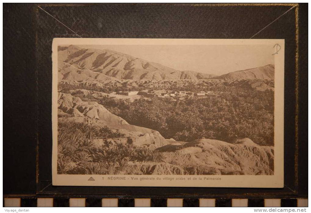 ALGERIE NEGRINE VUE GENERALE DU VILLAGE ARABE ET DE LA PALMERAIE