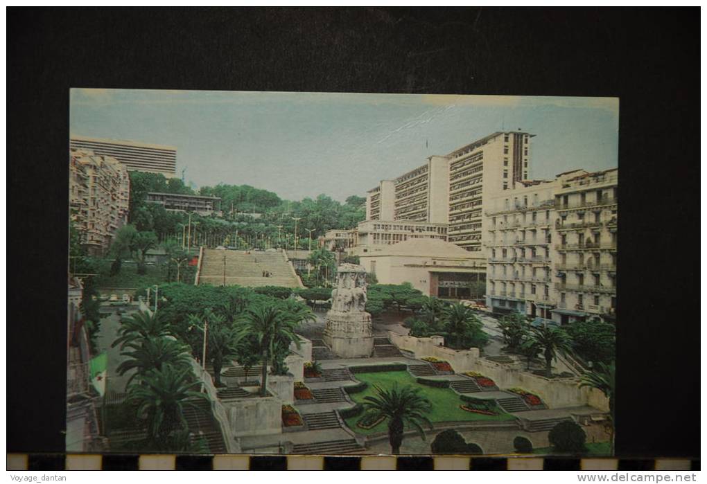 ALGER BOULEVARD KHEMISTI