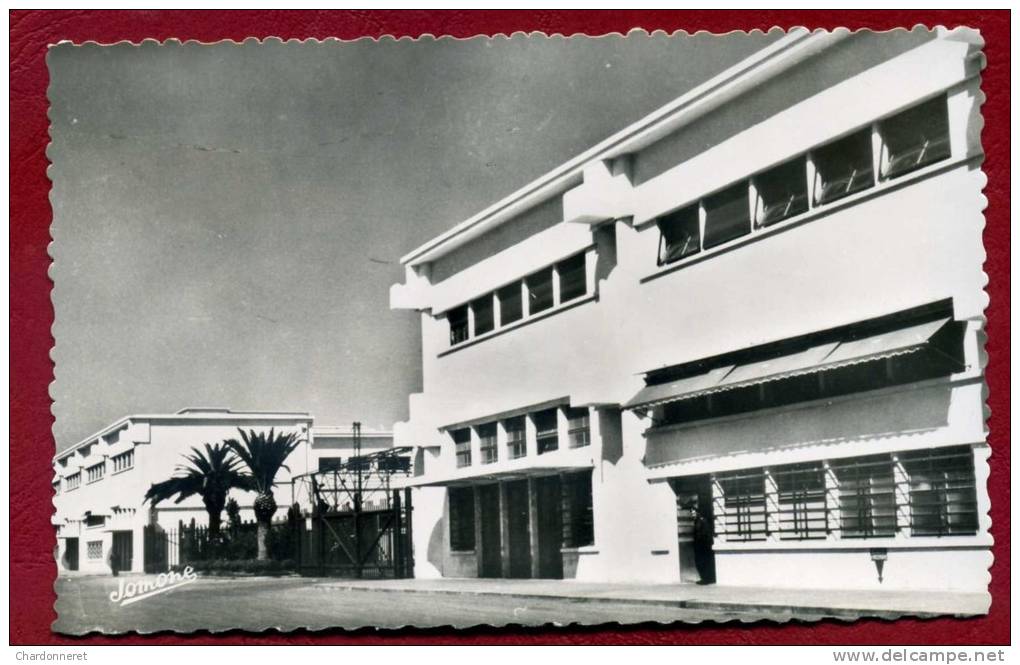 CPSM ALGERIE - ALGER - La Nouvelle Gare Maritime - Jomone#267 - ALGERIA - AFRICA - AFRIQUE