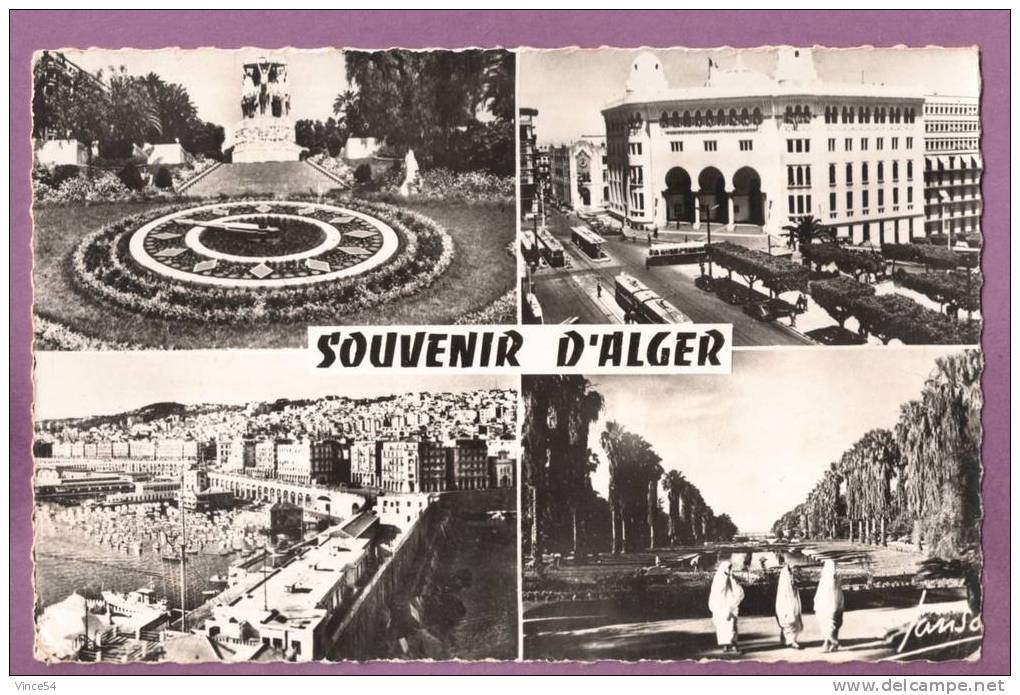 ALGER - SOUVENIR - Multivues. Tramway Carte dentelée.