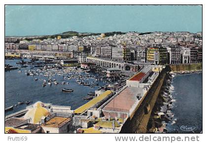 ALGERIA - AK 11386 Alger - vue générale